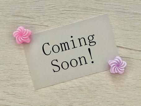 実例完成見学会 アイキャッチ画像