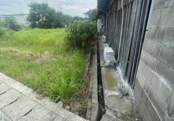 2025-07/img-9371