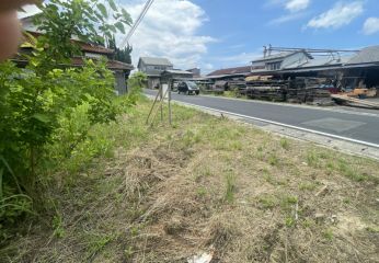 2025-07/img-9376